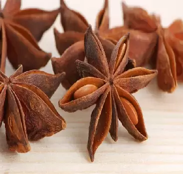 ANIS ESTRELADO 100g